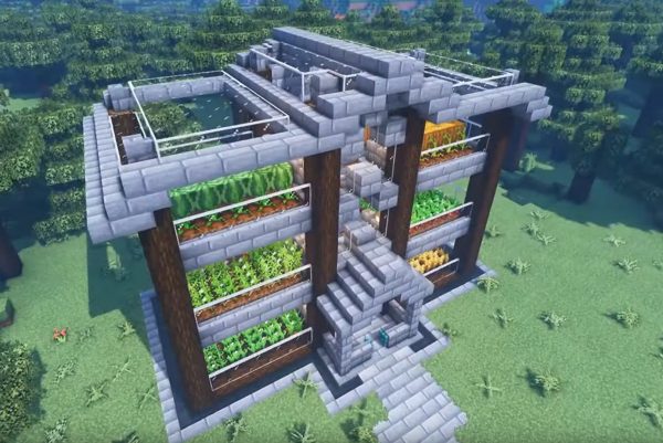 Meta Building Minecraft